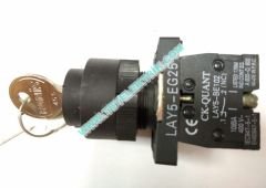 LAY5-EG25 MANDAL ŞALTER