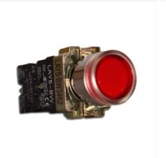 LAY5-BW3462 IŞIKLI METAL YAYLI BUTON