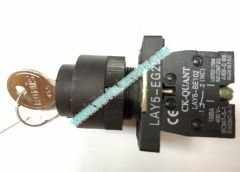 LAY5-EG21 MANDAL ŞALTER