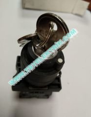 LAY5-EG21 MANDAL ŞALTER