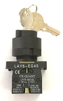 LAY5-EG45 ANAHTARLI MANDAL BUTON (10ADET)